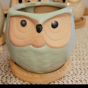 Small Owl Planter w/Saucer-Holes In Bottom Great for succulents Cute!